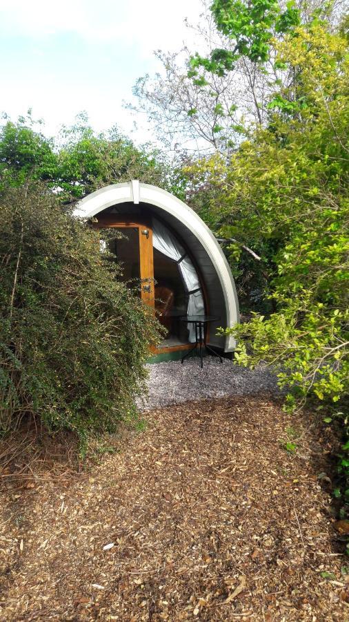 קיל איירן Priory Glamping Pods And Guest Accommodation מראה חיצוני תמונה